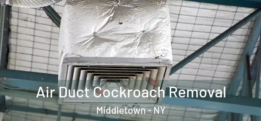 Air Duct Cockroach Removal Middletown - NY