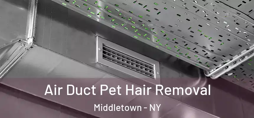 Air Duct Pet Hair Removal Middletown - NY