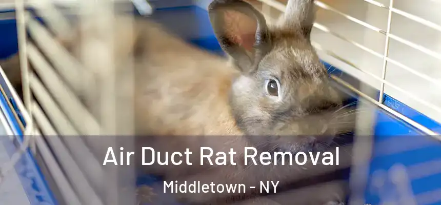  Air Duct Rat Removal Middletown - NY