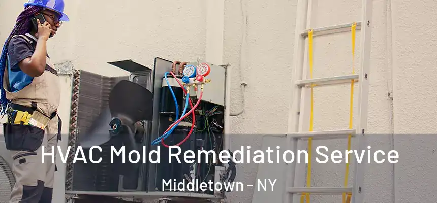  HVAC Mold Remediation Service Middletown - NY