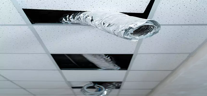 Affordable HVAC Sanitizing After Pest Removal in Middletown