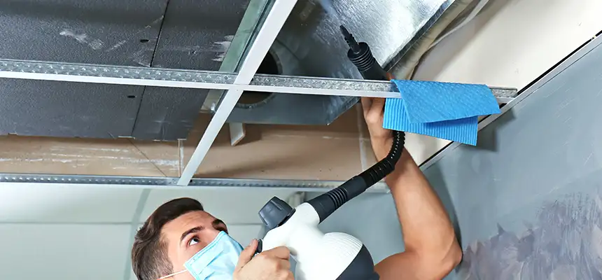 Our Air Duct Rodent Removal Services in Middletown, NY