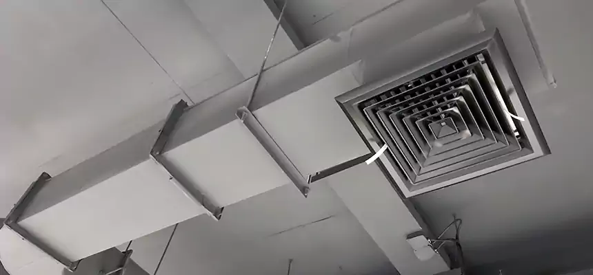 Our Pest Removal From Ducts Services in Middletown, NY