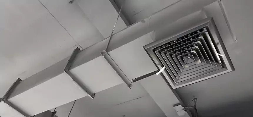 Our Rodent Droppings In Vents Services in Middletown, NY