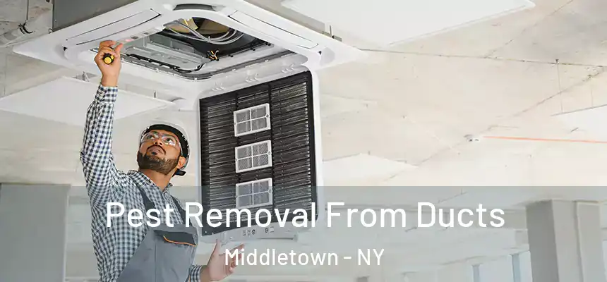  Pest Removal From Ducts Middletown - NY
