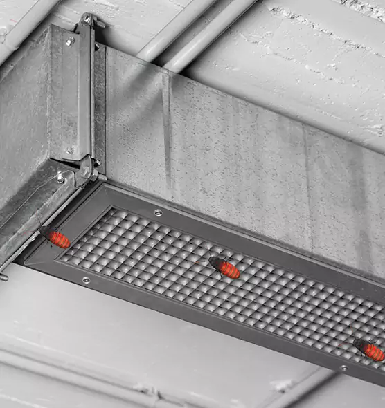 Affordable Insect Removal from Air Ducts in Middletown, NY
