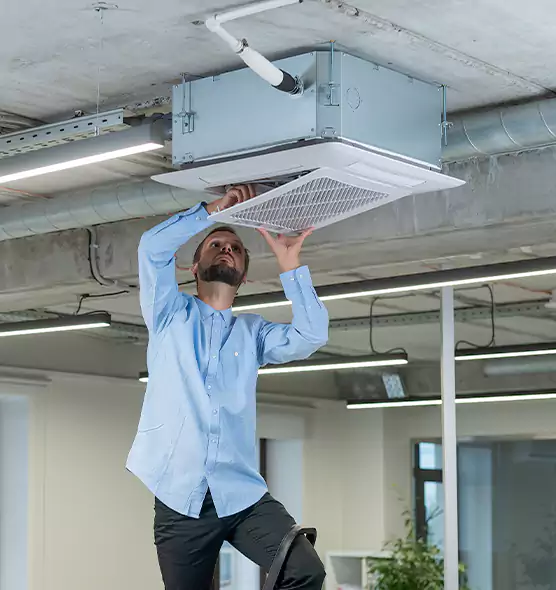 Advanced Rodent Droppings In Vents in Middletown, NY