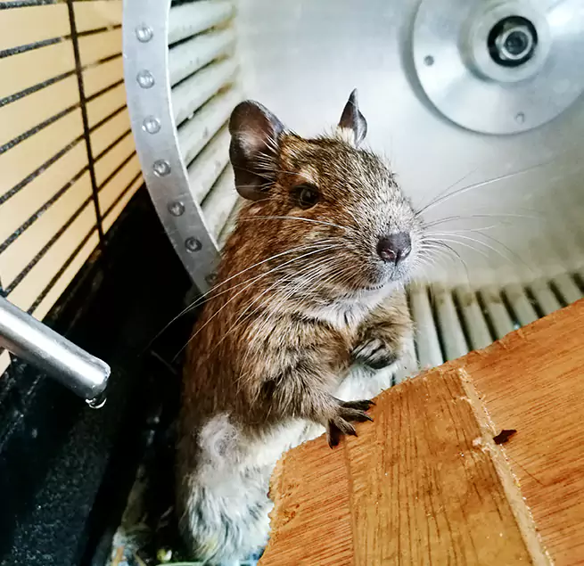 Why Homeowners & Businesses Trust Us Middletown, NY